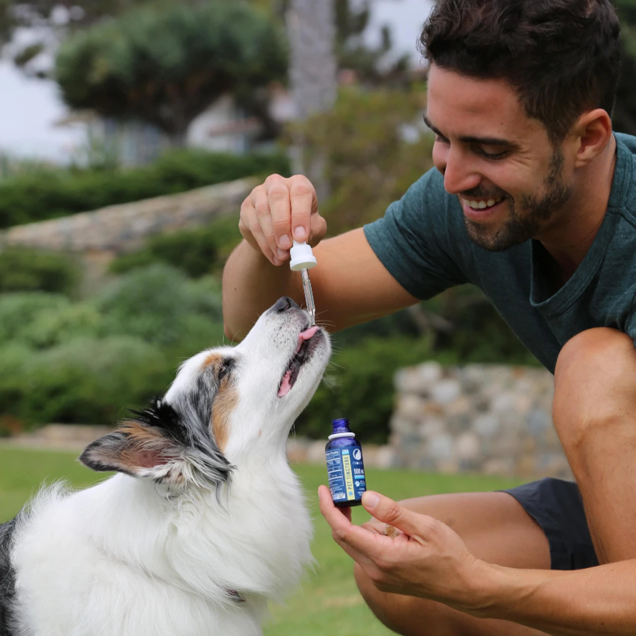 image of man give pet cbd to dog via a tincture